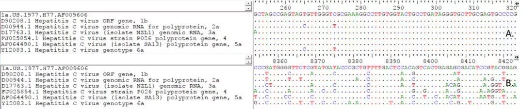 A.5’端非編碼區序列；B.NS5序列